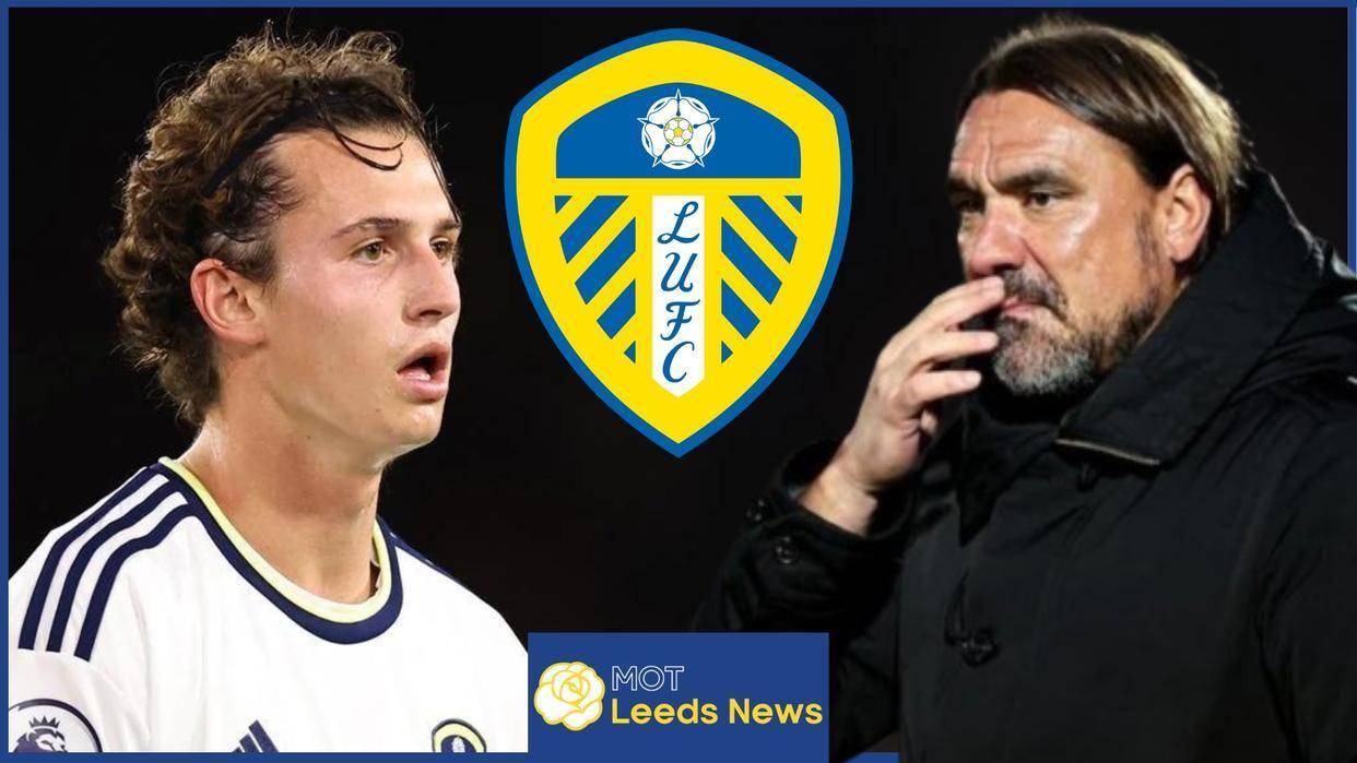 国王杯赛果查询